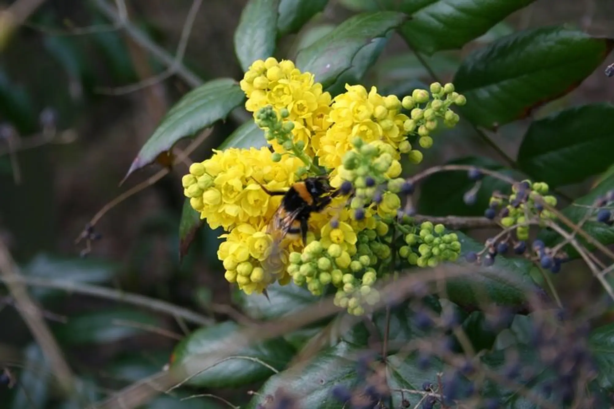 Un'oasi di biodiversità