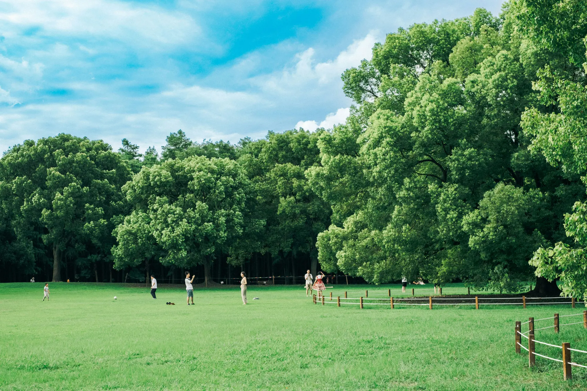 Un giorno insieme al parco