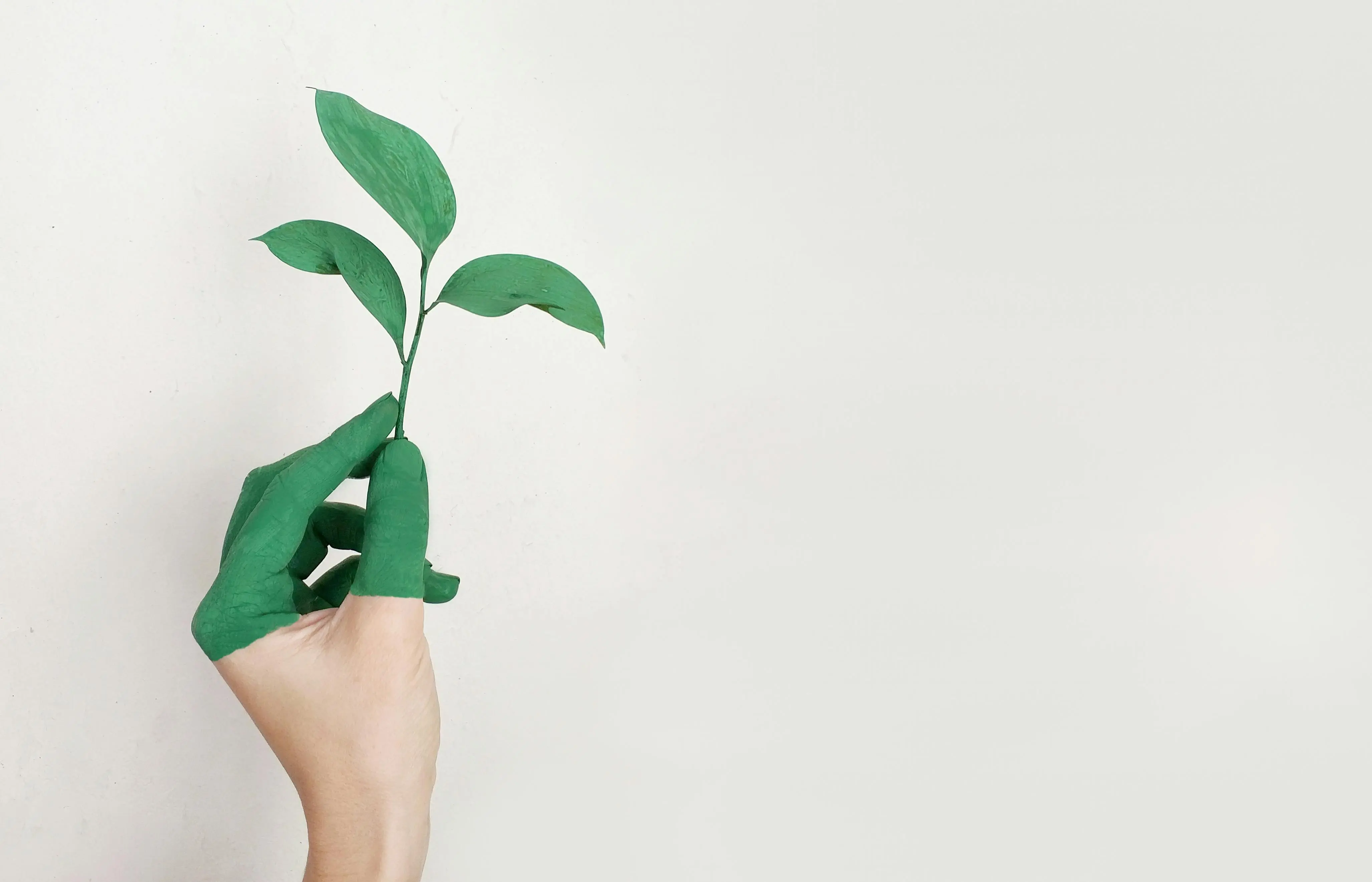 Portomaggiore partecipa al progetto Comuni Ecoattivi