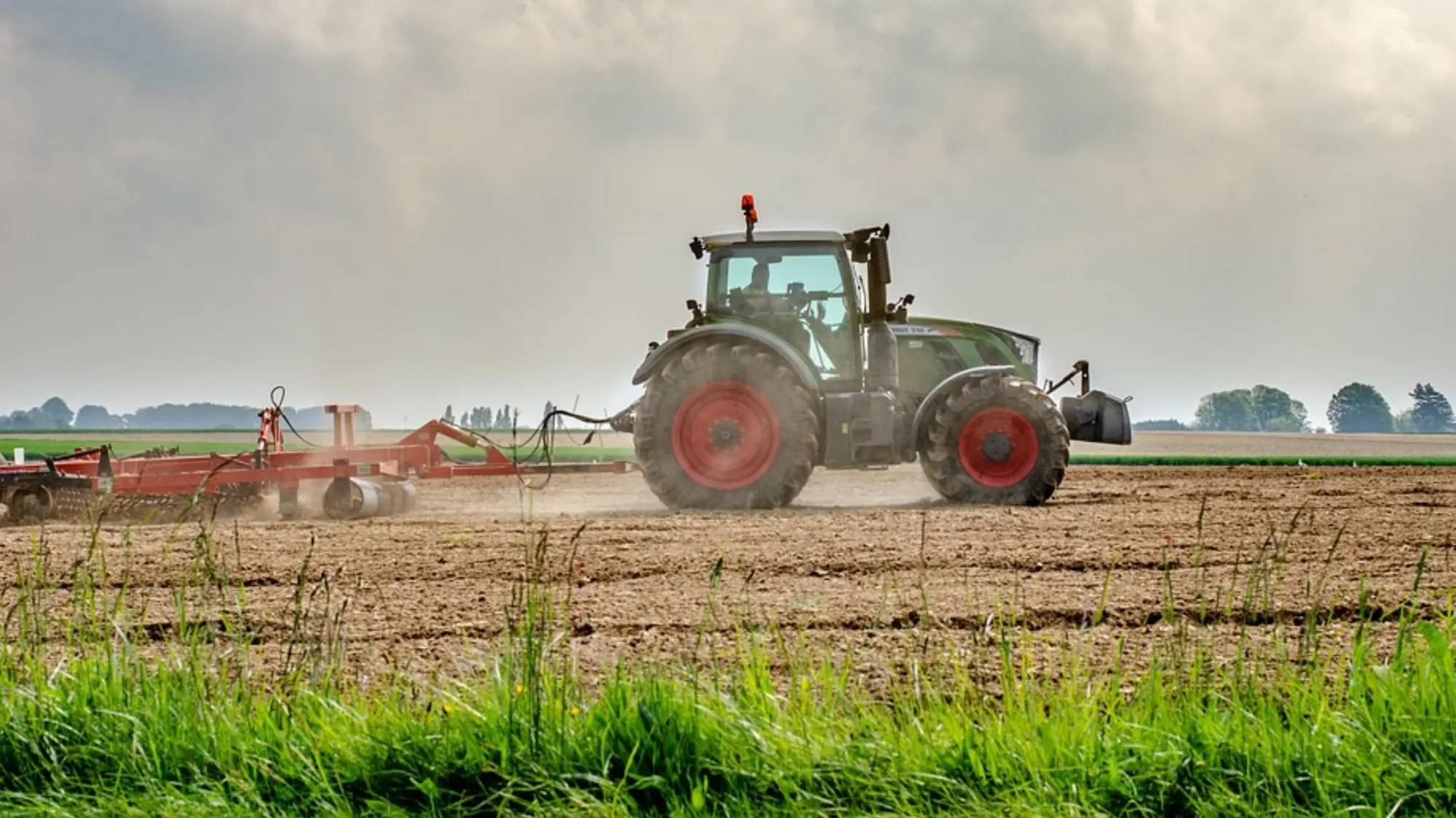 Festa dell'Agricoltura e del Volontariato 2025