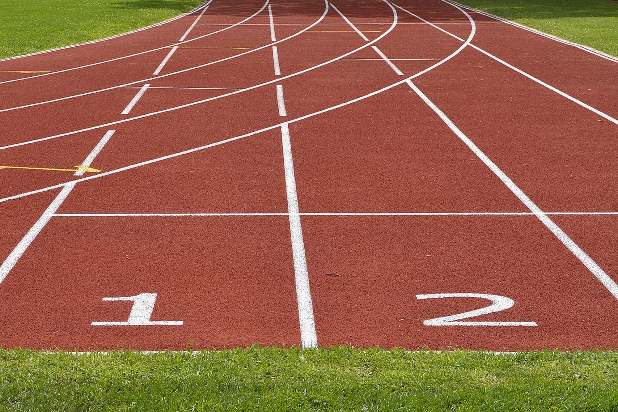 Concessione utilizzo impianti sportivi scolastici in orario extrascolastico - Avviso pubblico