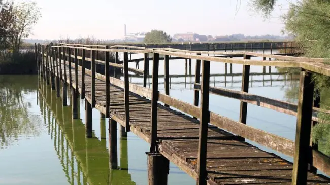 Centrale Unica di Committenza per il Comune di Portomaggiore
