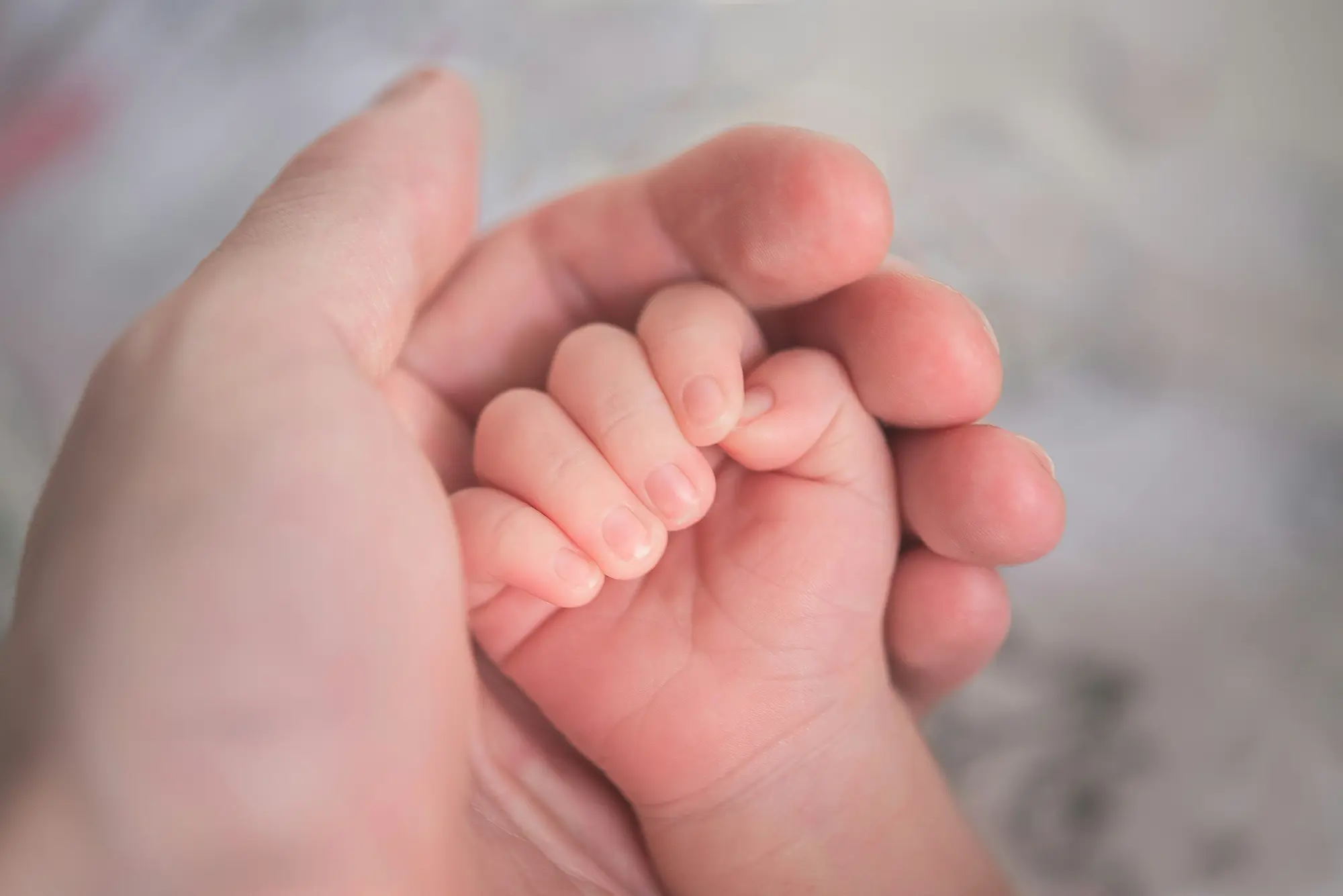 Centro per le famiglie dei Comuni di Argenta e Portomaggiore: nuovi servizi e proposte 