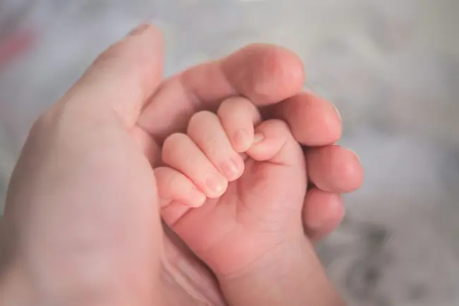 Centro per le famiglie dei Comuni di Argenta e Portomaggiore: nuovi servizi e proposte 