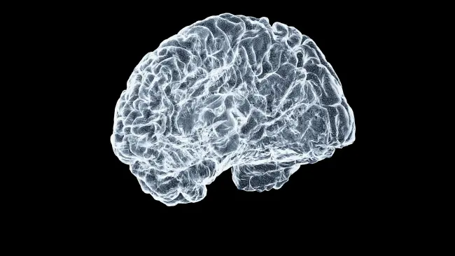 Voci di Cura - Convegno sui disturbi neuro-cognitivi attraverso il vissuto di caregiver e pazienti