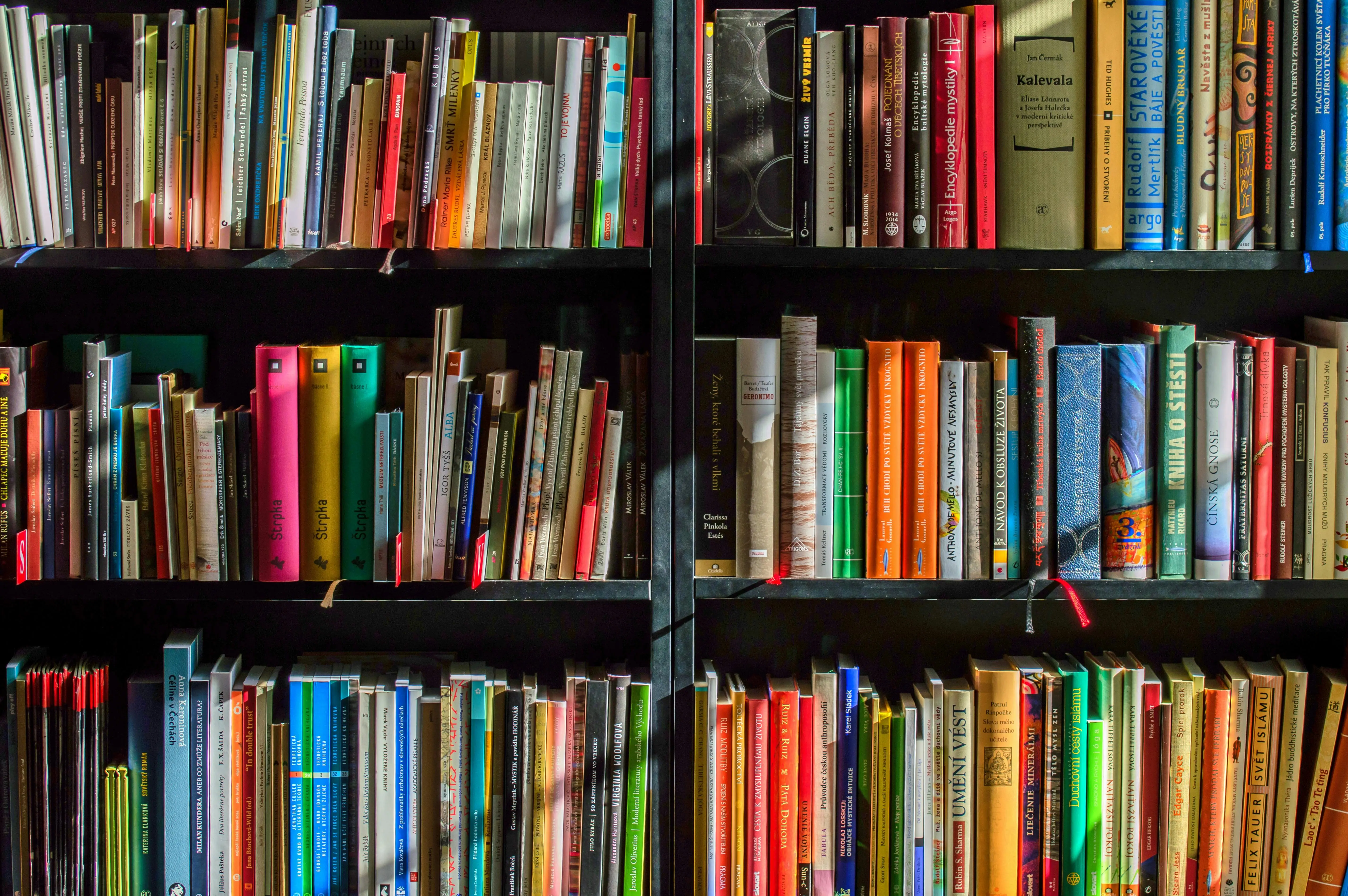 Libri di testo a.s. 2024/2025 