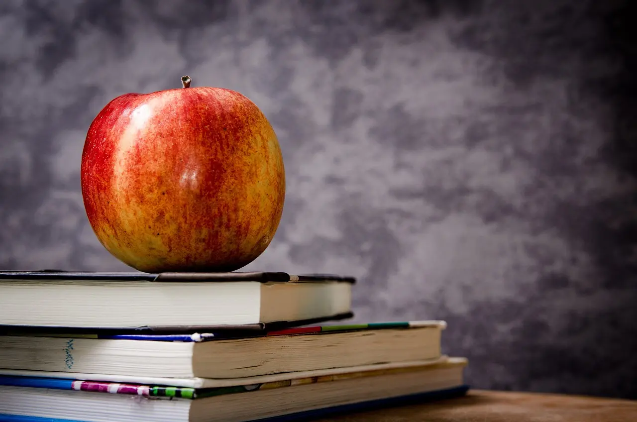 Contributo libri di testo studenti scuole secondarie di I e II grado- a.s. 2024/2025